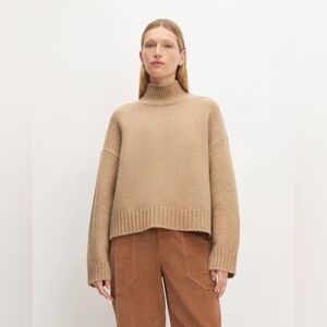 Everlane Brown Turtleneck Sweater